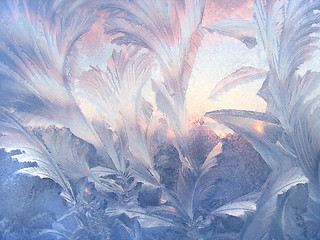 Image showing Beautiful winter pattern