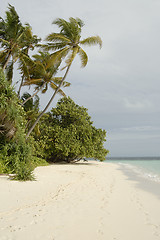 Image showing Maldives