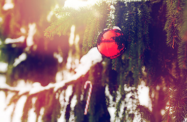 Image showing candy cane and christmas ball on fir tree branch