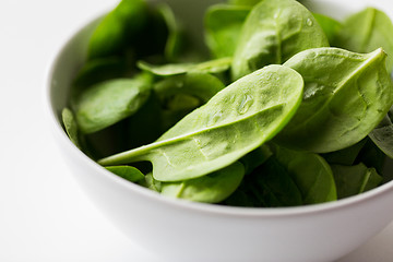 Image showing close up of spinach leaves in white bowl
