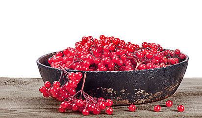 Image showing Viburnum in cast iron frying pan