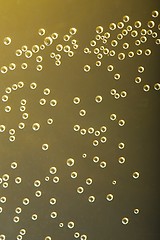 Image showing Bubbles in liquid