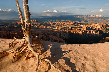 Image showing Bryce Canyon, Arizona