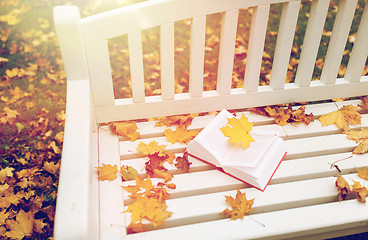 Image showing open book on bench in autumn park