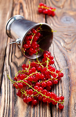 Image showing red currant