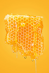 Image showing Sweet honeycomb on yellow