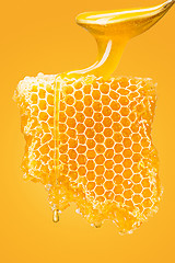 Image showing Sweet honeycomb on yellow