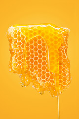 Image showing Sweet honeycomb on yellow