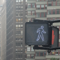 Image showing Walk pedestrian signal