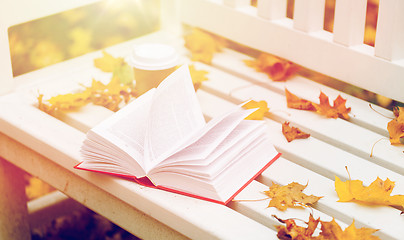 Image showing open book and coffee cup on bench in autumn park