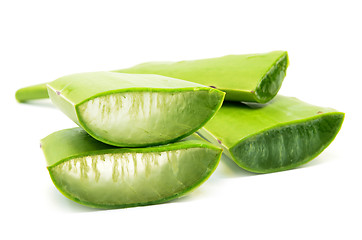 Image showing Aloe vera fresh leaf isolated