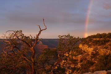 Image showing Rainbow at Grand Canyon