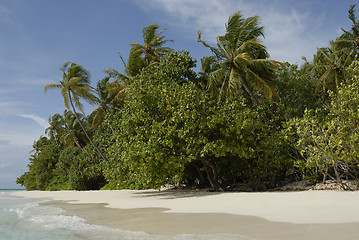 Image showing Maldives