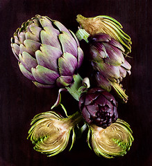 Image showing Perfect Raw Artichokes