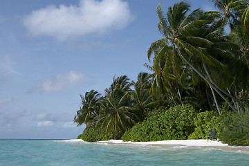 Image showing Maldives