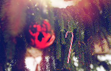 Image showing candy cane and christmas ball on fir tree branch