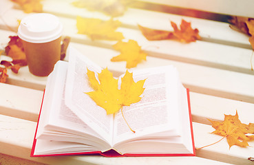 Image showing open book and coffee cup on bench in autumn park