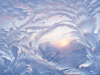 Image showing Beautiful winter pattern