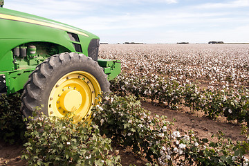 Image showing Cotton Farm Field Texas Plantation Tractor Agriculture Cash Crop