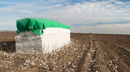 Image showing Fresh Bail Harvest Cotton Farm Field Texas Agriculture