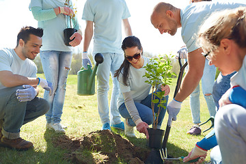 Image showing group of volunteers planting tree in park