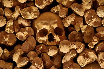 Image showing Skulls and bones in a wall