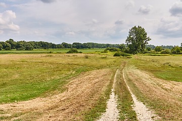 Image showing Barren field in the countryside