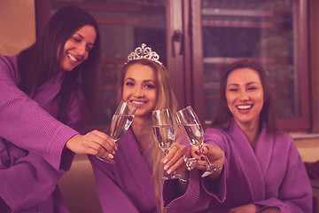 Image showing girls have a bachelor party