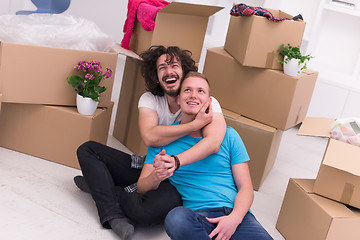 Image showing young  gay couple moving  in new house