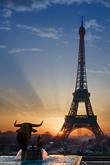 Image showing The Eiffel tower at sunrise in Paris 