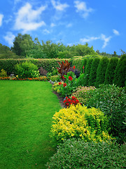 Image showing summer flower garden