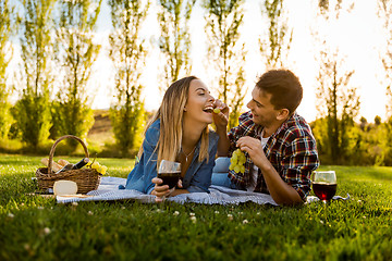 Image showing Just us and a Picnic