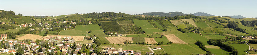 Image showing Italian vineyards