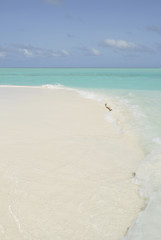 Image showing Desert Maldivian island