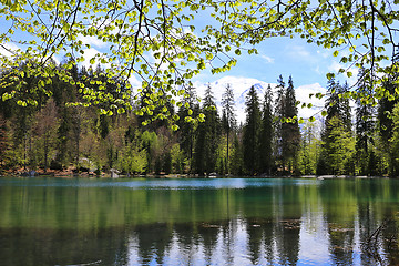 Image showing Lake Passy, the green lake, France