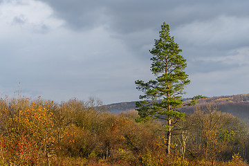 Image showing Autumn landscape