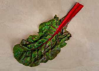 Image showing Chard Leaf