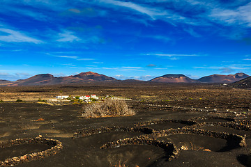 Image showing Wine Region of Lanzarote off season