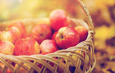 Image showing wicker basket of ripe red apples at autumn garden