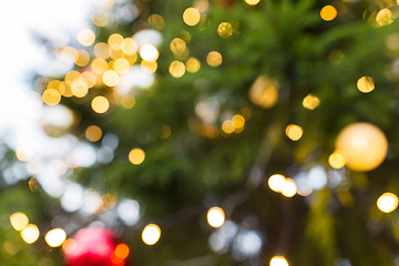 Image showing fir tree with blurred christmas lights background