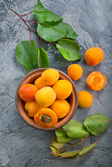 Image showing fresh apricots