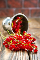 Image showing red currant