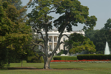Image showing White House view, Washington D.C.