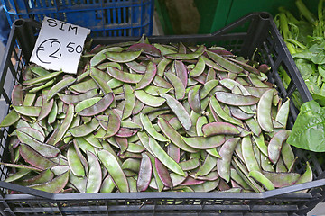 Image showing Flat Beans