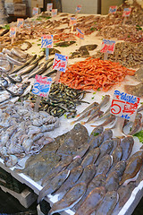 Image showing Fish Market Naples