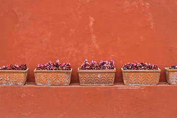 Image showing Terracotta Wall Pots