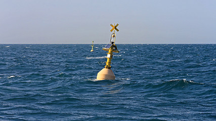 Image showing Buoy