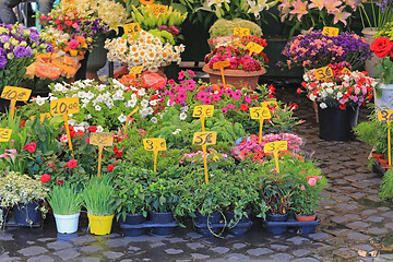 Image showing Flower Shop