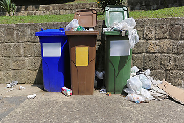 Image showing Litter