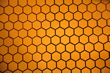 Image showing Hexagon Floor